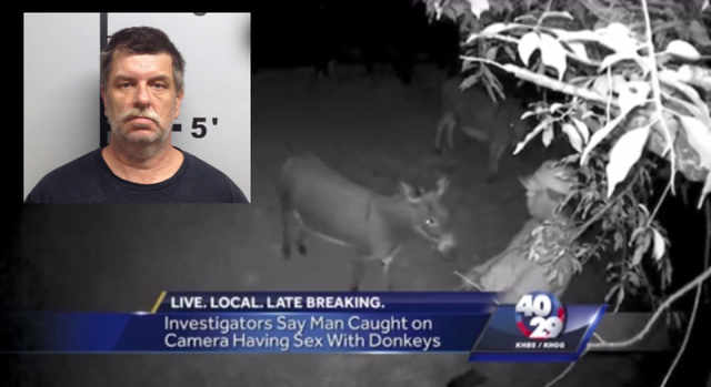 SMH: Man Caught On Camera Stroking Donkey Before Having Sex With It!