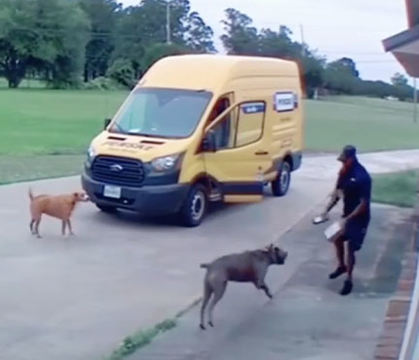 "Come On Buddy" Delivery Guy Faces Every Deliveryman's Nightmare On His First Day On The Job!