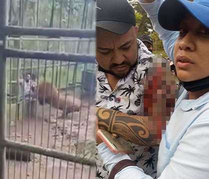 Bad Idea From The Jump: Man Tried To Pet A Lion At The Zoo And Things Didn’t End Well For Him!